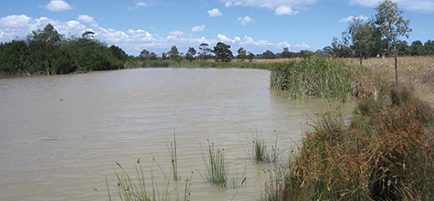 Wetland Condition Assessment, Australia