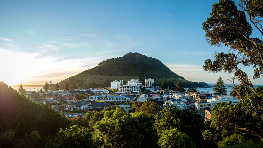 building-of-tauranga-1